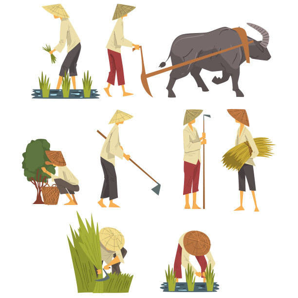 亚洲农民戴着草帽干活图片下载