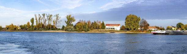 老莱茵河和岛上的树木在日落从渡轮上看到的涅尔斯坦图片下载