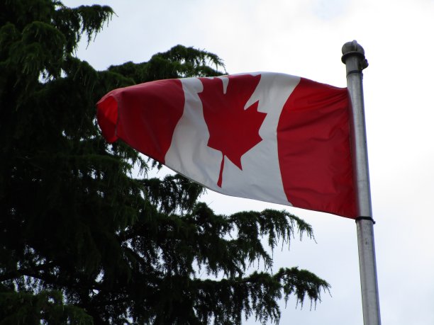 2020年，明亮的加拿大国旗在天空中升起图片下载
