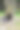 栗树洞用干栗树的树干做的洞或狗窝图片下载