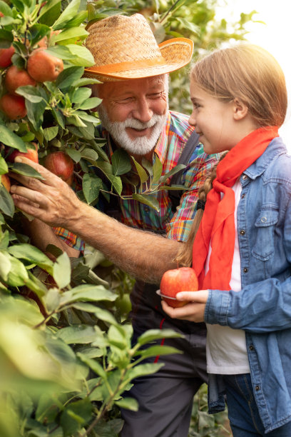 摘苹果图片下载