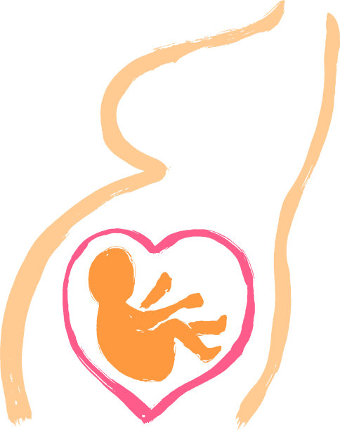 人类未出生的胎儿在妈妈的肚子子宫里可爱图片下载