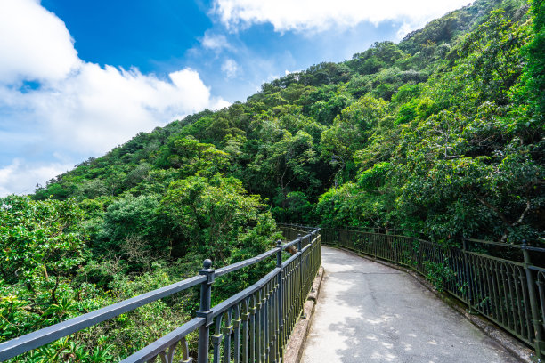 香港浪漫山顶路图片下载