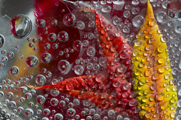 冰冷的水滴落在橙红色的冰上，黄红色的落叶上。特写镜头。图片下载