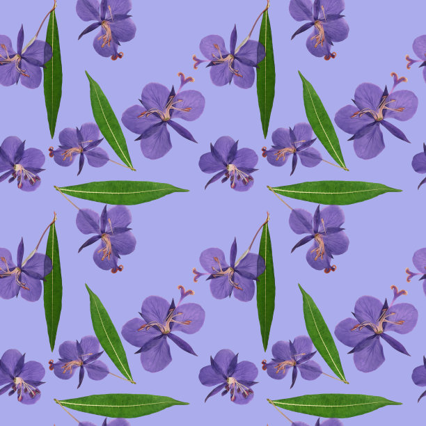 Willowherb epilobium。插图，花的纹理。无缝模式。花卉背景，照片拼贴制作的纺织品，棉织品。壁纸,覆盖。图片下载