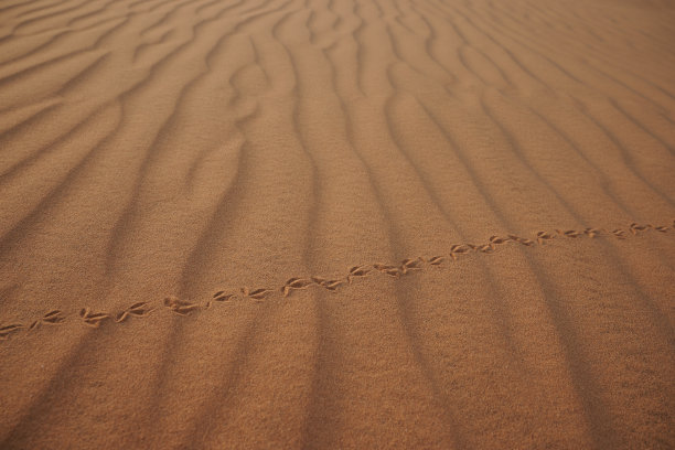 沙子上的痕迹图片下载