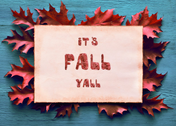 秋叶，俯视图。旧羊皮纸上的文本空间，拷贝空间。平铺在白色背景上的红色和橙色调。红色和黄色的橡树叶和玫瑰果。自然下降的背景图片下载