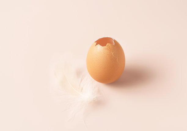 粉彩背景上有羽毛的破鸡蛋。伟大的设计适用于任何目的。的粉色背景。图片下载