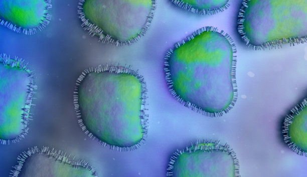 流感病毒图片下载
