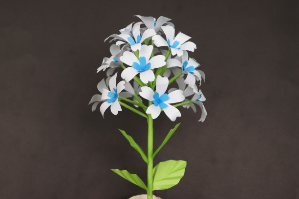 美丽的花瓶-纸工艺-花盆-盆栽植物图片下载