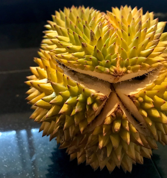 关闭的成熟榴莲开放图片下载