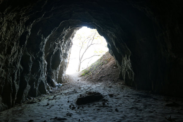 洞穴出口，采用天然石墙。从山上走到阳光下，照亮树木和自然。天然隧道俯瞰景观。树木和植物，框架从石坑道出口。图片下载