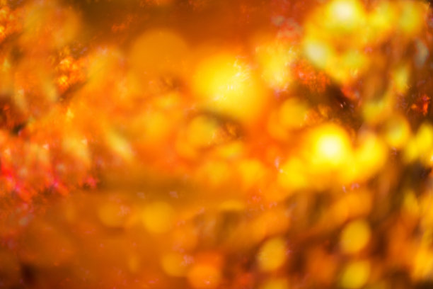 散焦红叶，完美的秋天背景图片下载