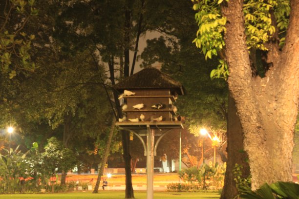 鸟的房子图片下载