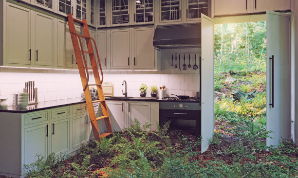 绿色厨房图片下载