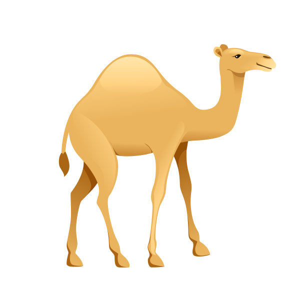 可爱的驼峰动物平面卡通设计图片下载