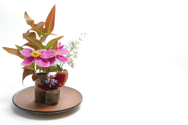 各种各样的花都是日本式的图片下载