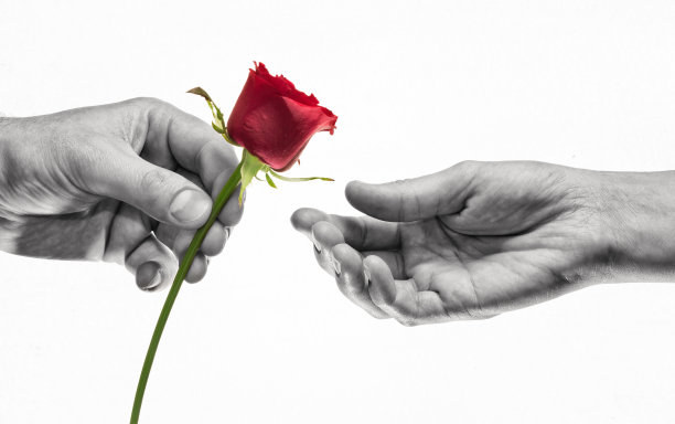 爱的概念，赠送礼物，求爱。图片下载