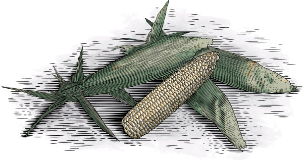 木刻玉米棒图片下载