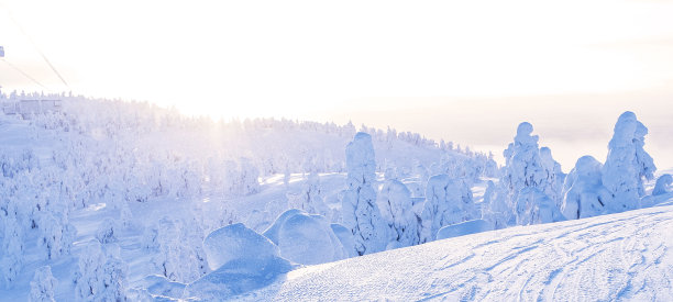 拉普兰自然，霜冻，冬季景观。卢卡山上白雪覆盖的树木。日出。图片下载