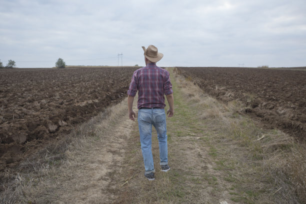 英俊的成年农民戴着牛仔帽站在乡村道路对面他的大片耕地图片下载
