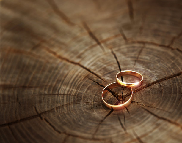 两个结婚戒指躺在一个木桩上特写。木材切割纹理图片下载