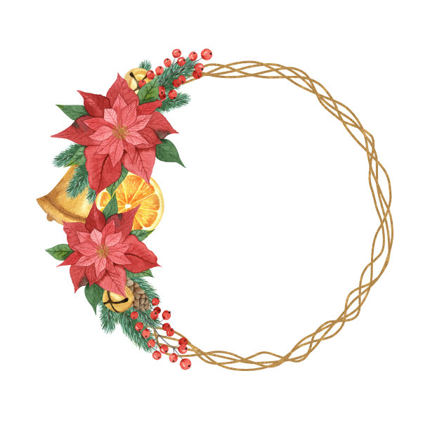 水彩圣诞花环一品红，冷杉树枝，铃铛，球果，浆果，孤立在一个白色的背景。用于请柬、问候、贺卡、纺织品、贴纸、剪贴簿。图片下载