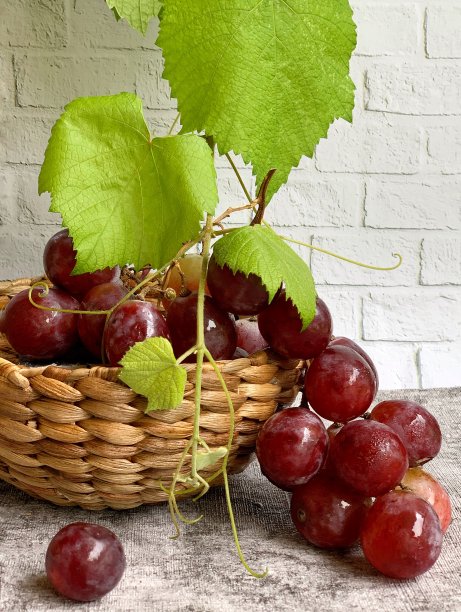葡萄图片下载