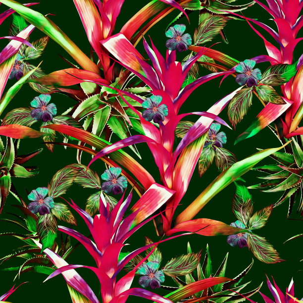 古兹曼花与芦荟和热带植物无缝图案。图片下载