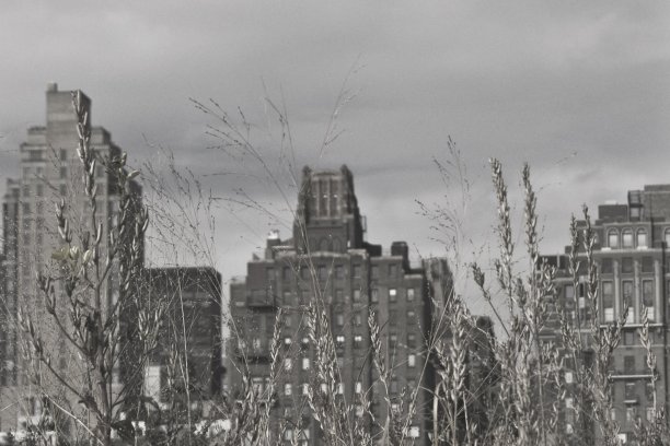 曼哈顿图片下载