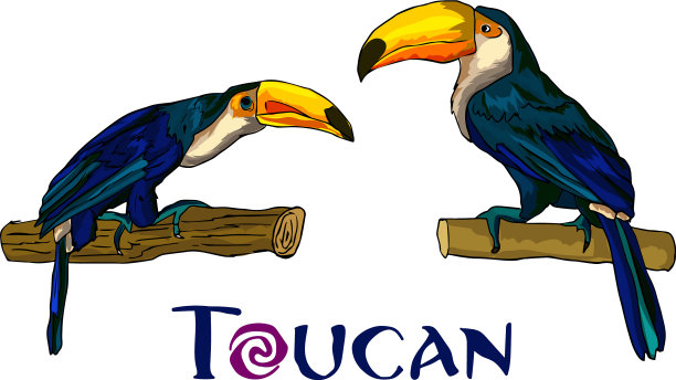 巨嘴鸟设计元素图片下载