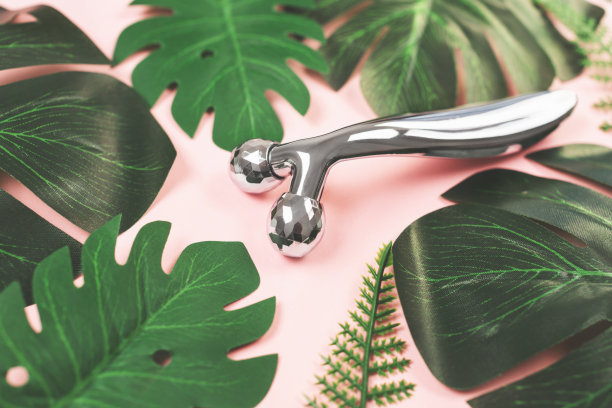 钢面辊在粉红色的背景上装饰着巨叶。图片下载