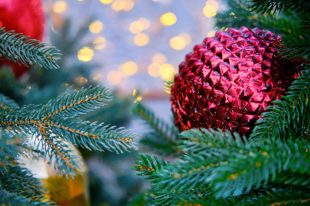 圣诞树上的大红球，拷贝空间图片下载