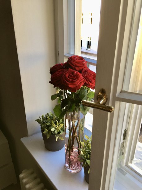 德国巴伐利亚州慕尼黑的一幢带有螺旋楼梯的老住宅楼图片下载