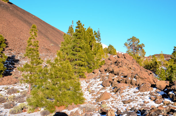 冬天的风景图片下载