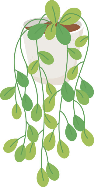 盆栽植物室内装饰孤立图标图片下载