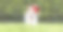 微笑的圣诞老人快乐的宠物狗小狗在草地上奔跑图片下载