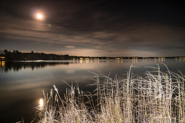 满月照在秋天的湖面上，湖面平静，海岸线上枯黄的草，这是瑞典典型的斯堪的纳维亚景观图片下载