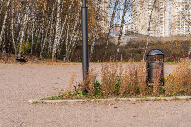 垃圾桶在一个自然公园里，一个用金属制成的垃圾桶在一个开放的自然草地上的白桦树的背景下，在阳光明媚的下午概念的比较图片下载