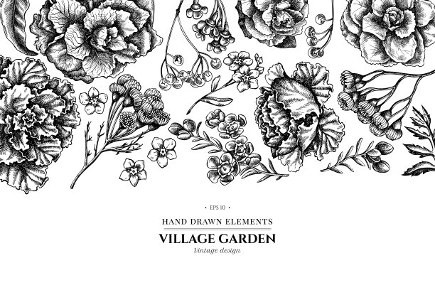 花型有黑白蜡花、勿忘我花、唐茜、地黄花、芸苔、装饰白菜图片下载