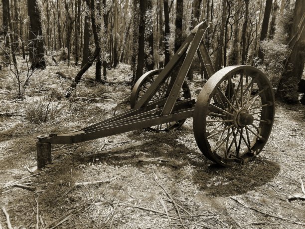 陈旧生锈的伐木机械图片下载