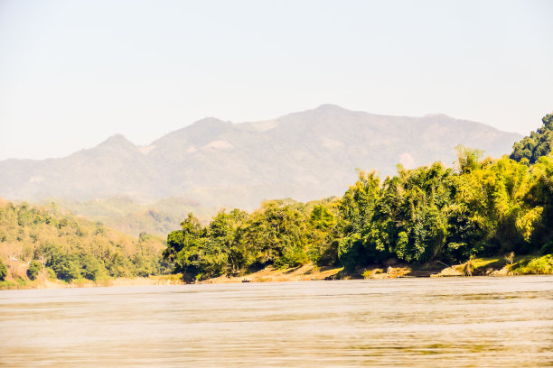 树在沙漠中，数码照片图片作为背景图片下载