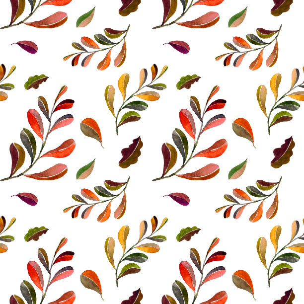 水彩手绘秋天的树枝图案在白色的背景。艺术的不同颜色的叶子。图片下载