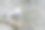 海鸥的特写照片坐在水上的树枝图片下载