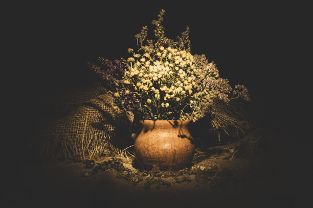 黏土花瓶里放着一束干野花图片下载