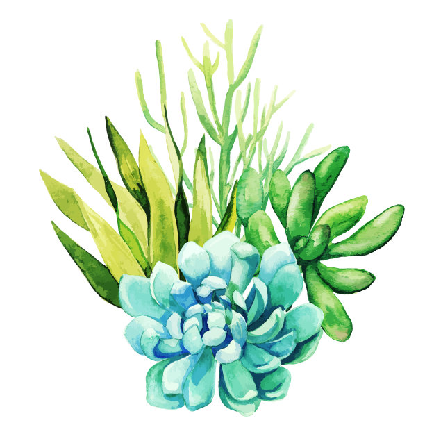 鲜艳的水彩植物，微小的颜色花束图片下载