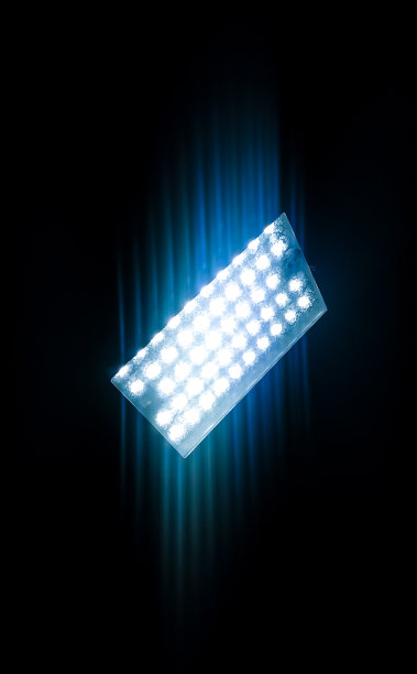 蓝色的肉图片下载