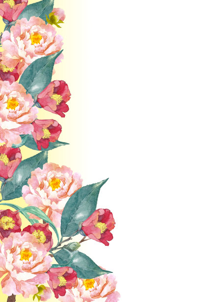 粉红色的牡丹和山茶花图片下载