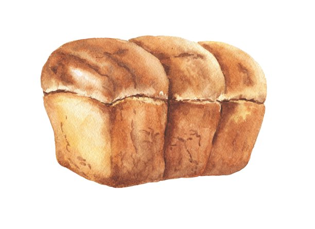 手绘水彩面包面包条孤立的白色背景。说明现实的食物。图片下载