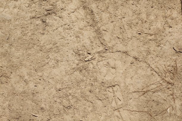 地面干燥多尘图片下载